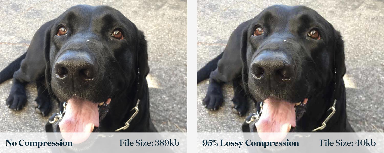 Lossy Image Comparison | JShaw Creative